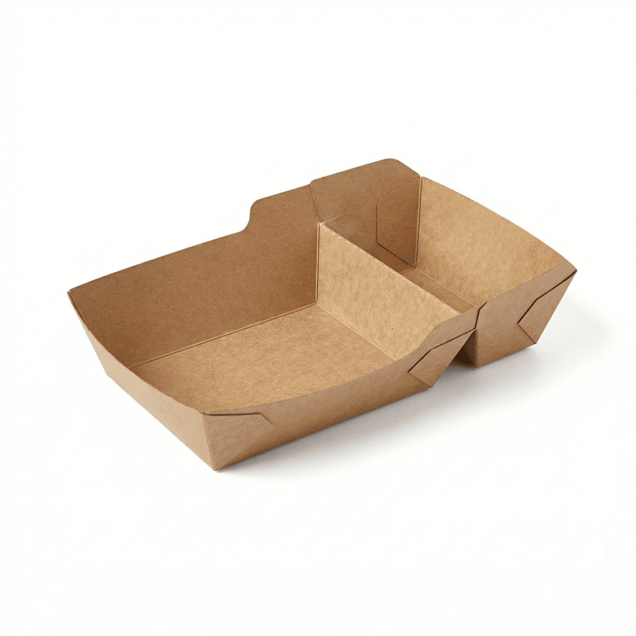 2-Compartment Paper Tray