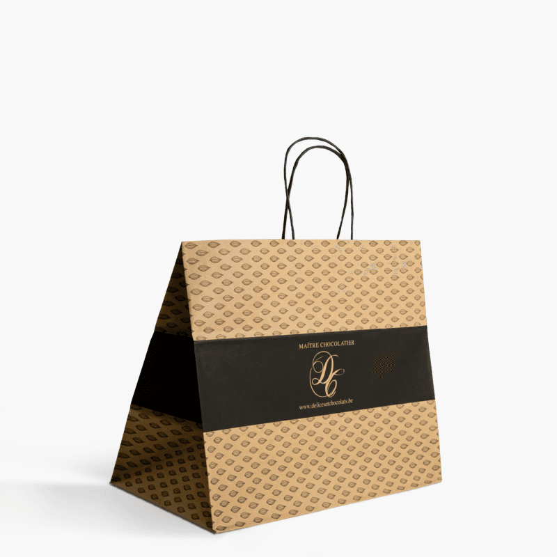 Twisted Handle Paper Bag 1