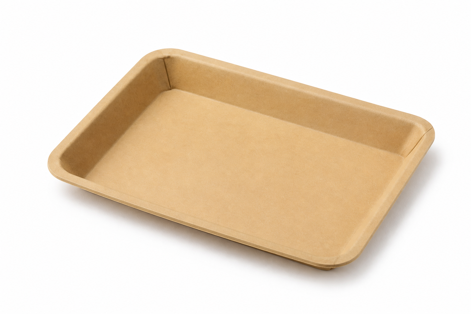 paper tray 1